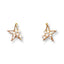 Starlight Studs - Soigne Luxury Accessories - Soigne Luxury Accessories - Soigne Luxury Accessories -